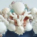 白い貝殻フレーム